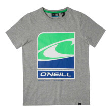 Мужские спортивные футболки Мужская спортивная футболка серая с надписью ONEILL Flag Wave Short Sleeve T-Shirt