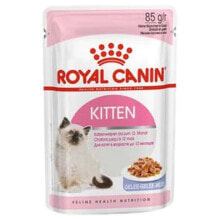 ROYAL CANIN Kitten Jelly 85g Wet Cat Food