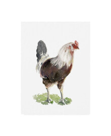 Trademark Global jennifer Paxton Parker Chicken Dance I Canvas Art - 27