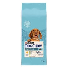 Products for dogs