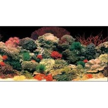 Products for fish and reptiles