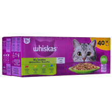 Корм для котов Whiskas Mix Favourites in jelly Курица Лососевый Тунец Телятина 40 x 85 g