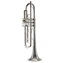 Other wind instruments