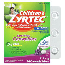 Children's Allergy, Dye-Free Chewable, 2+ Years, Grape, 2.5 mg, 24 Chewable Tablets