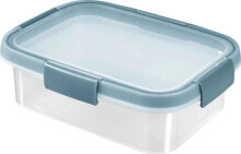 Containers and lunch boxes