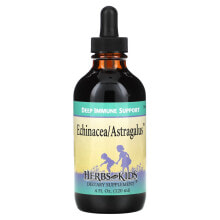 Echinacea/Astragalus, Alcohol Free, 4 fl oz (120 ml)