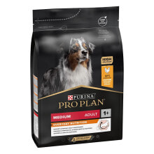 Products for dogs