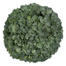 Декоративное растение Зеленый PVC 23 x 23 cm