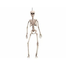 Halloween Decorations My Other Me 49 cm Skeleton