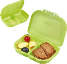 Containers and lunch boxes