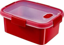 Containers and lunch boxes