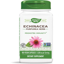 Эхинацея Nature's Way Echinacea --Эхинацея  - 1200 мг - 180 Веганских капсул