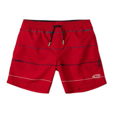 Мужские плавки и шорты O´NEILL Contourz Swimming Shorts