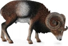 Collecta Figurine European Mouflon (004-88682)