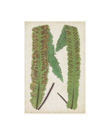 Trademark Global lowe Fern Family III Canvas Art - 15