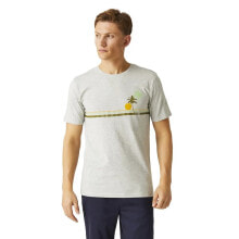 Men's sports T-shirts and T-shirts