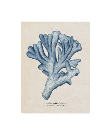 Trademark Global melissa Wang Sea Coral Study I Canvas Art - 37