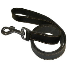 Dog Leashes