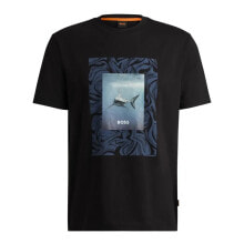 Men's sports T-shirts and T-shirts