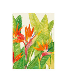 Trademark Global tim Otoole Watercolor Tropical Flowers IV Canvas Art - 20