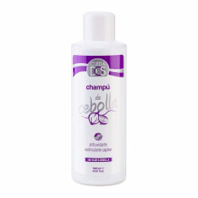 Shampoos for hair шампунь с антиоксидантами Valquer Лук (1000 ml)