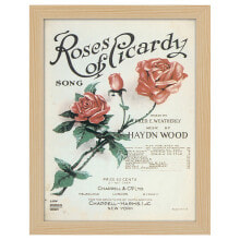 Bilderrahmen Poster Roses of Picardy