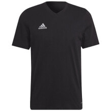 Мужские спортивные футболки adidas ENT22