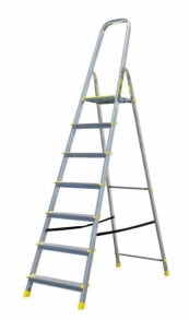 Ladders and ladders