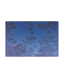 Trademark Global kurt Shaffer Photographs Ice crystals against a blue sky Canvas Art - 15.5