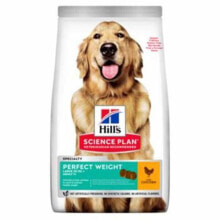 Products for dogs