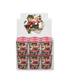 ROOT CANDLES votive Holly berry 20 Hour Candles Set, 18 Piece