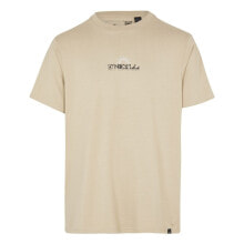 Men's sports T-shirts and T-shirts