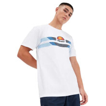 Men's sports T-shirts and T-shirts