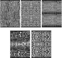 Ziemia Obiecana Zeszyt A5/80K kratka Snakes (5szt)
