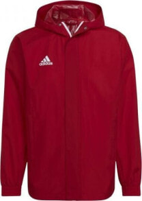 Men's Sports Jackets