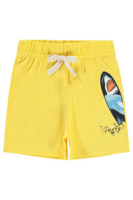 Children's shorts for boys