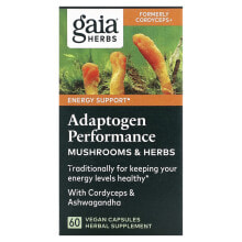 Adaptogen Performance, Mushrooms & Herbs, 60 Vegan Capsules