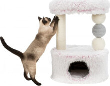 Scratching posts for cats