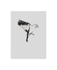 Trademark Global incado Flying Bird I Canvas Art - 15.5