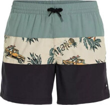 Swimming trunks and shorts