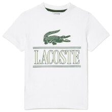 Men's sports T-shirts and T-shirts