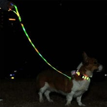 DOGGY VILLAGE Signal dog leash 1.2m