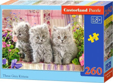 Castorland Puzzle Trzy szare kotki