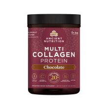 Коллаген Ancient Nutrition Multi Collagen Protein Chocolate Мульти коллагеновый протеиновый шоколад с коллагеном типа 1,2,3 5 и 6  для поддержания здоровой кожи, ногтей и суставов 472 г