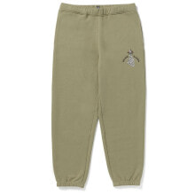 Купить одежда и обувь Volcom: VOLCOM Earth Tripper Pants