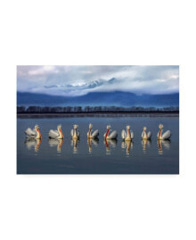 Trademark Global xavier Ortega Dalmatian Pelicans Meeting Canvas Art - 15