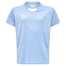 Men's sports T-shirts and T-shirts