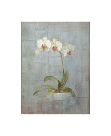 Trademark Global danhui Nai Elegant Orchid II Canvas Art - 15.5