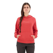 HELLY HANSEN Core Hoodie