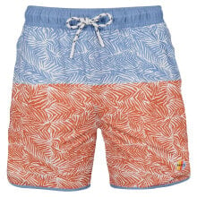 Swimming trunks and shorts